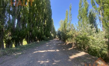 Chacra en  Sargento Vidal