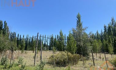 Chacra en  Sargento Vidal