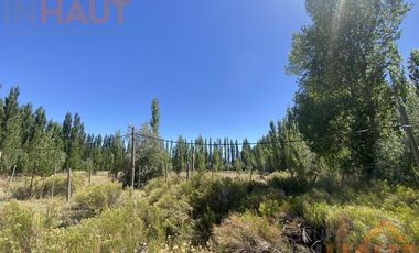 Chacra en  Sargento Vidal