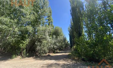 Chacra en  Sargento Vidal