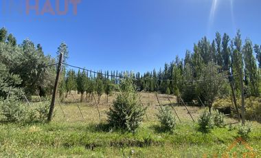 Chacra en  Sargento Vidal