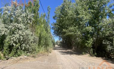 Chacra en  Sargento Vidal