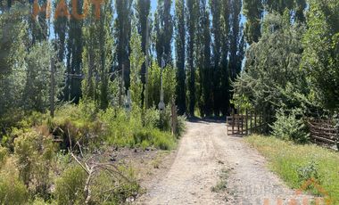 Chacra en  Sargento Vidal