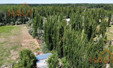 Chacra en  Sargento Vidal