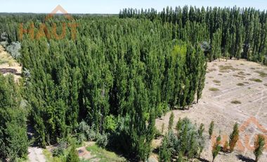 Chacra en  Sargento Vidal