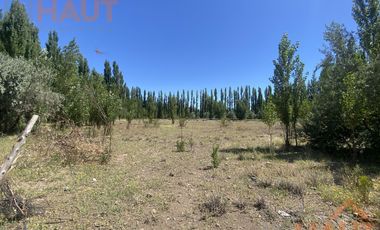 Chacra en  Sargento Vidal