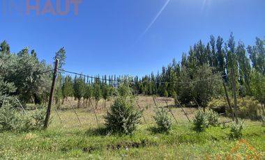 Chacra en  Sargento Vidal