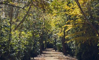 Departamento en  Rhodium Terrazas