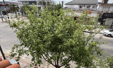 Barrio Jardín - LOCAL COMERCIAL