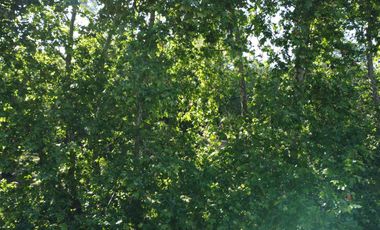 Departamento en San Juan