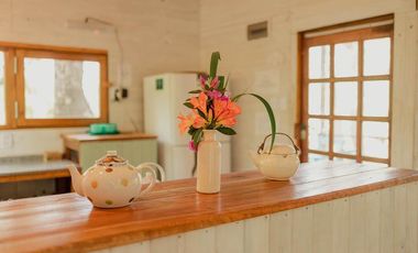 Complejo de Cabañas - 4 Cabañas - 24.000Mts2 - Delta, Tigre