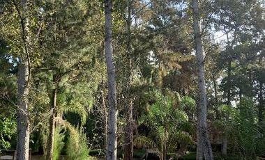 Complejo de Cabañas - 4 Cabañas - 24.000Mts2 - Delta, Tigre