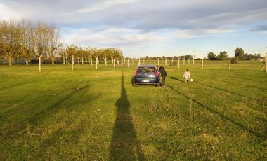 Terreno en venta - 985,68mts2 - Navarro