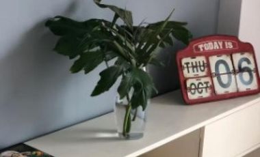 Departamento Monoambiente en alquiler - 1 Baño - Chacarita