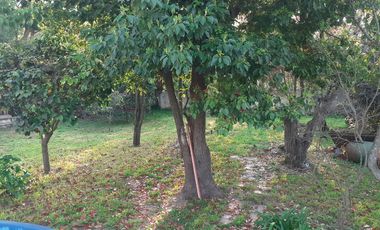 Casa -Venta - Villa Elisa