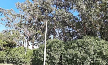 Terreno en venta - 1.875Mts2 - Miramar