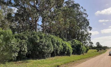 Terreno en venta - 1.875Mts2 - Miramar