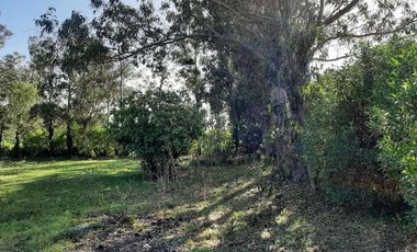 Terreno en venta - 1.875Mts2 - Miramar