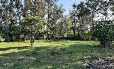 Terreno en venta - 1.875Mts2 - Miramar