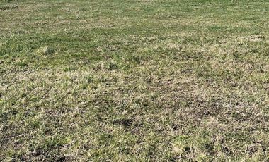 Terreno en venta - 800Mts2 - Chapadmalal, General Pueyrredón