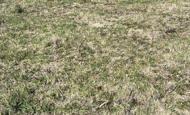 Terreno en venta - 800Mts2 - Chapadmalal, General Pueyrredón