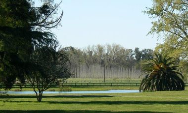 Chacra en  Estancia Benquerencia Farm Club sobre el golf - Monte _ Pcia. de Buenos Aires