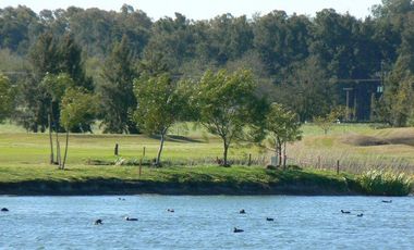 Chacra en  Estancia Benquerencia Farm Club sobre el golf - Monte _ Pcia. de Buenos Aires
