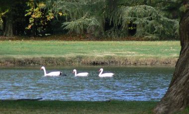 Chacra en  Estancia Benquerencia Farm Club sobre el golf - Monte _ Pcia. de Buenos Aires