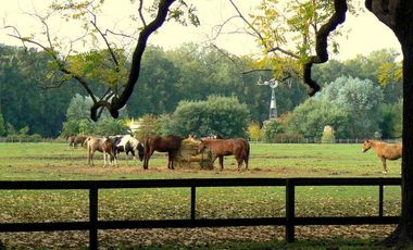Chacra en  Estancia Benquerencia Farm Club sobre el golf - Monte _ Pcia. de Buenos Aires