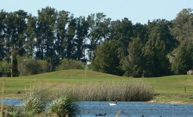 Chacra en  Estancia Benquerencia Farm Club sobre el golf - Monte _ Pcia. de Buenos Aires