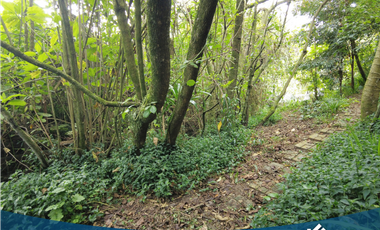 Hermosa Casa Campestre en Tabio Vereda  Río Frío Occidental