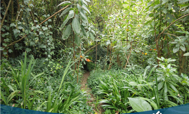 Hermosa Casa Campestre en Tabio Vereda  Río Frío Occidental