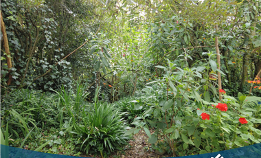 Hermosa Casa Campestre en Tabio Vereda  Río Frío Occidental