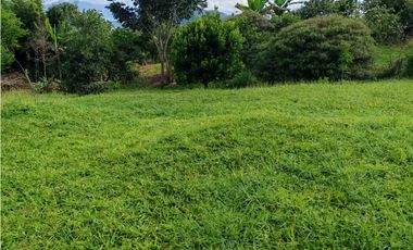 SE VENDE LOTE UBICADO EN LA VEREDA EL JORDAN-PEREIRA