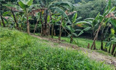 VENTA DE LOTE UBICADO EN LA VEREDA EL JORDAN VIA PEREIRA-ARMENIA