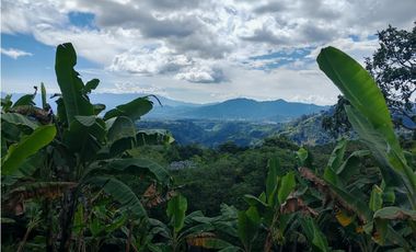 VENTA DE LOTE UBICADO EN LA VEREDA EL JORDAN VIA PEREIRA-ARMENIA