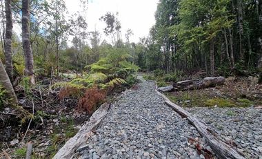 Casa en Arriendo en Parque Lindo