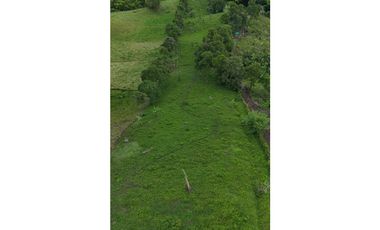 Lote de terreno en venta Montenegro Quindío