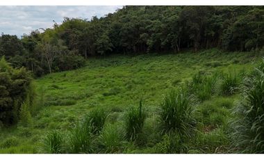 Lote en renta vereda San Juan. Sector Av Centenario