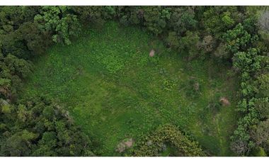 Lote en renta vereda San Juan. Sector Av Centenario