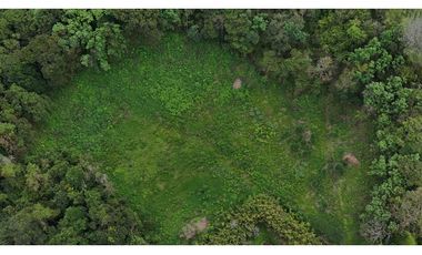 Lote en renta vereda San Juan. Sector Av Centenario