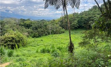 Lote en renta vereda San Juan. Sector Av Centenario