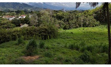 Lote en renta vereda San Juan. Sector Av Centenario