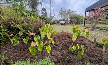 Casa campestre en venta vía Circasia