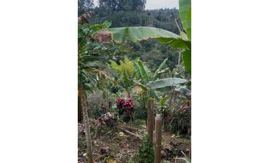 Finca / casa campestre