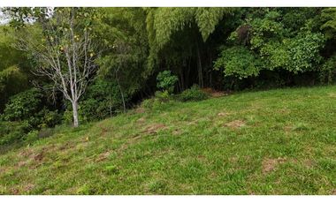 Lote campestre en venta Circasia Quindío