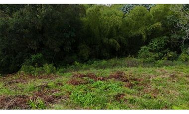Lote campestre en venta Circasia Quindío