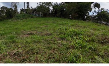 Lote campestre en venta Circasia Quindío