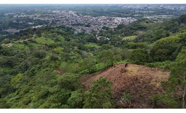 Finca en venta Calarca Quindio