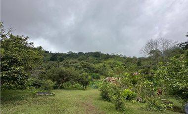 Finca en venta Calarca Quindio